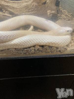 甲府デリヘル 甲府人妻隊(コウフヒトヅマタイ) すばる(42)の1月2日写メブログ「今年は何とし？」