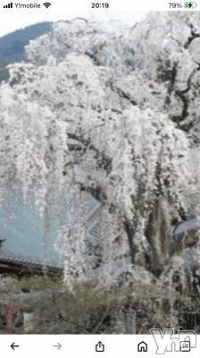 甲府デリヘル 甲府人妻隊(コウフヒトヅマタイ) すばる(42)の3月28日写メブログ「こんばんは🌸」