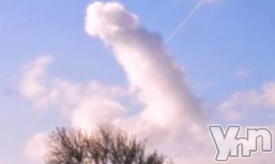 甲府デリヘル 甲府人妻隊(コウフヒトヅマタイ) すばる(42)の1月7日写メブログ「こんなの発見☁️」