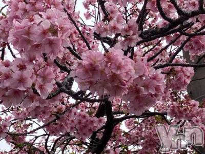 甲府デリヘル 甲府人妻隊(コウフヒトヅマタイ) すばる(42)の3月14日写メブログ「今日もエロモード全開で出勤✨」