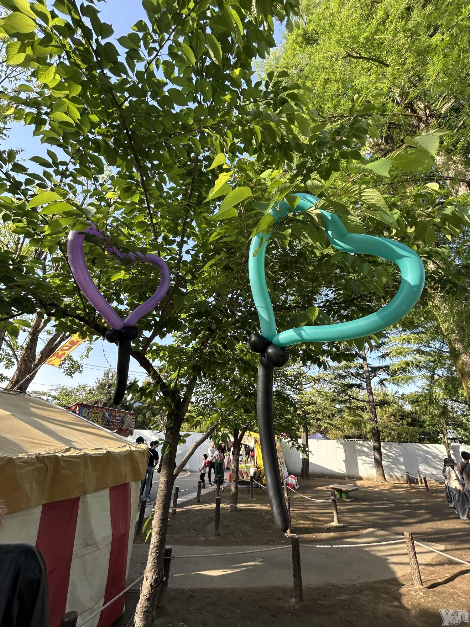 ���ܥ���Х��顦�����Entertainment Club HANA��BUSA(���󥿡��ƥ����ȥ���֡��ϥʥ֥�) ��2025ǯ5��28���̥�֥�����5��28�� 00��47ʬ�Υ֥�����