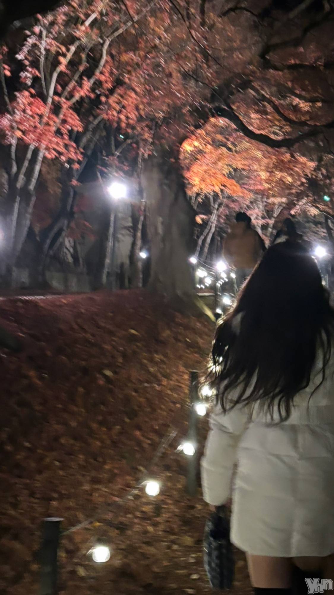 ���ܥ���Х��顦�����Entertainment Club HANA��BUSA(���󥿡��ƥ����ȥ���֡��ϥʥ֥�) ��2025ǯ12��1���̥�֥����ֹ��������ä�🍁��