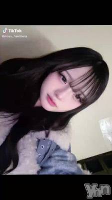 11��28�� 04��53ʬ��ư��