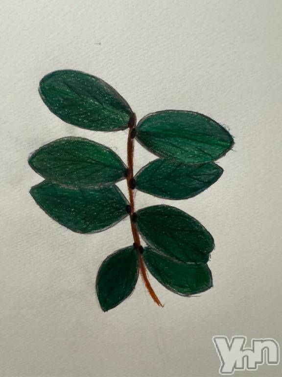 甲府ソープオレンジハウス ちゃま(19)の12月27日写メブログ「専門学生の図」