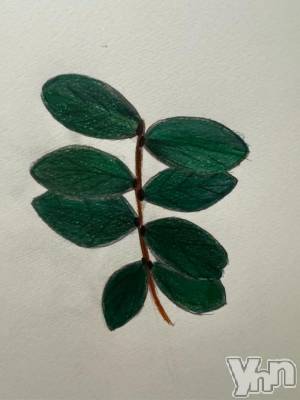 甲府ソープ オレンジハウス ちゃま(19)の12月27日写メブログ「専門学生の図」