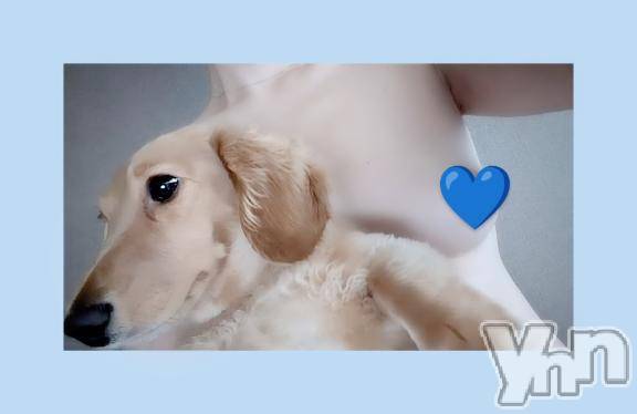 甲府デリヘルThree＆Men’s Spa 甲府(スリー＆メンズスパ コウフ) れんツー(38)の1月7日写メブログ「おはおはです！」