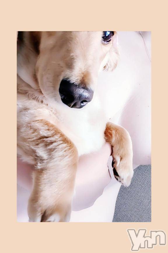 富士吉田デリヘルThree＆Men’s Spa 河口湖(スリー＆メンズスパ)れん(38)の2025年1月8日写メブログ「一昨年＆昨日！」