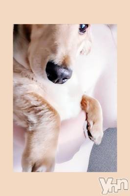 富士吉田デリヘル Three＆Men’s Spa 河口湖(スリー＆メンズスパ) れん(38)の1月8日写メブログ「一昨年＆昨日！」