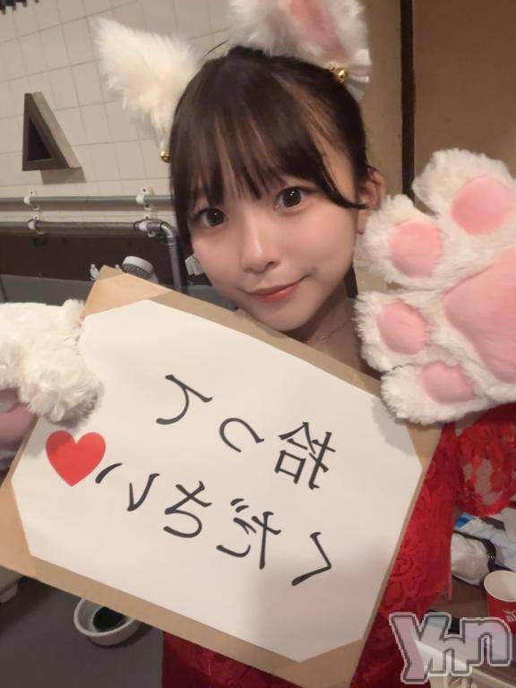 甲府ソープオレンジハウスありす(19)の2025年2月17日写メブログ「💌子猫ちゃん」