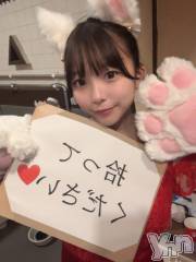 甲府ソープオレンジハウス ありす(19)の2月17日写メブログ「💌子猫ちゃん」