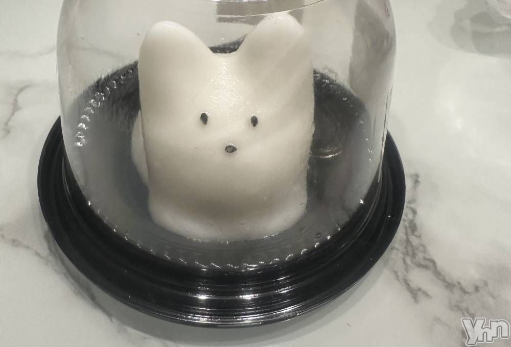 ���ܥ���Х��顦�����Entertainment Club HANA��BUSA(���󥿡��ƥ����ȥ���֡��ϥʥ֥�) ����3��24���̥�֥�����^ ̳.  ̫ . ̳^��♡��