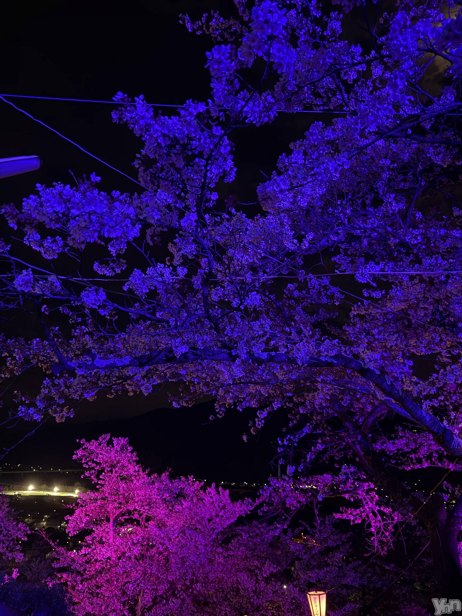 ���ܥ���Х��顦�����Entertainment Club HANA��BUSA(���󥿡��ƥ����ȥ���֡��ϥʥ֥�) ��2026ǯ4��3���̥�֥�����*꒱⋆⑅.....✍🏻��