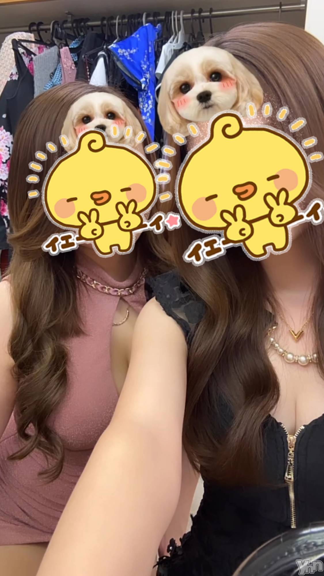 ���ܥ���Х��顦�����Entertainment Club HANA��BUSA(���󥿡��ƥ����ȥ���֡��ϥʥ֥�) ��2025ǯ2��1���̥�֥�����2������ȥ� 💨��