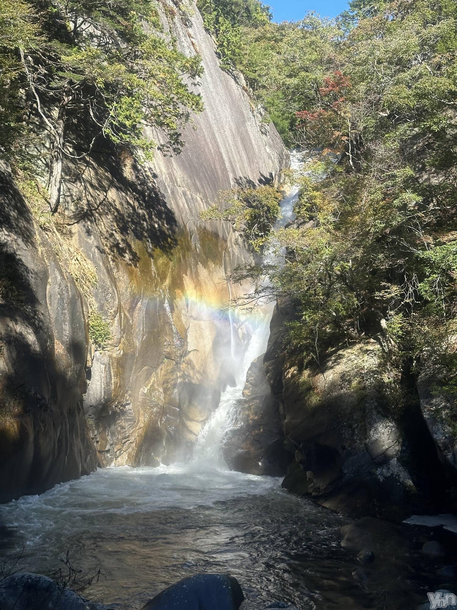 ���ܥ���Х��顦�����Entertainment Club HANA��BUSA(���󥿡��ƥ����ȥ���֡��ϥʥ֥�) ��2025ǯ2��13���̥�֥��������衪��