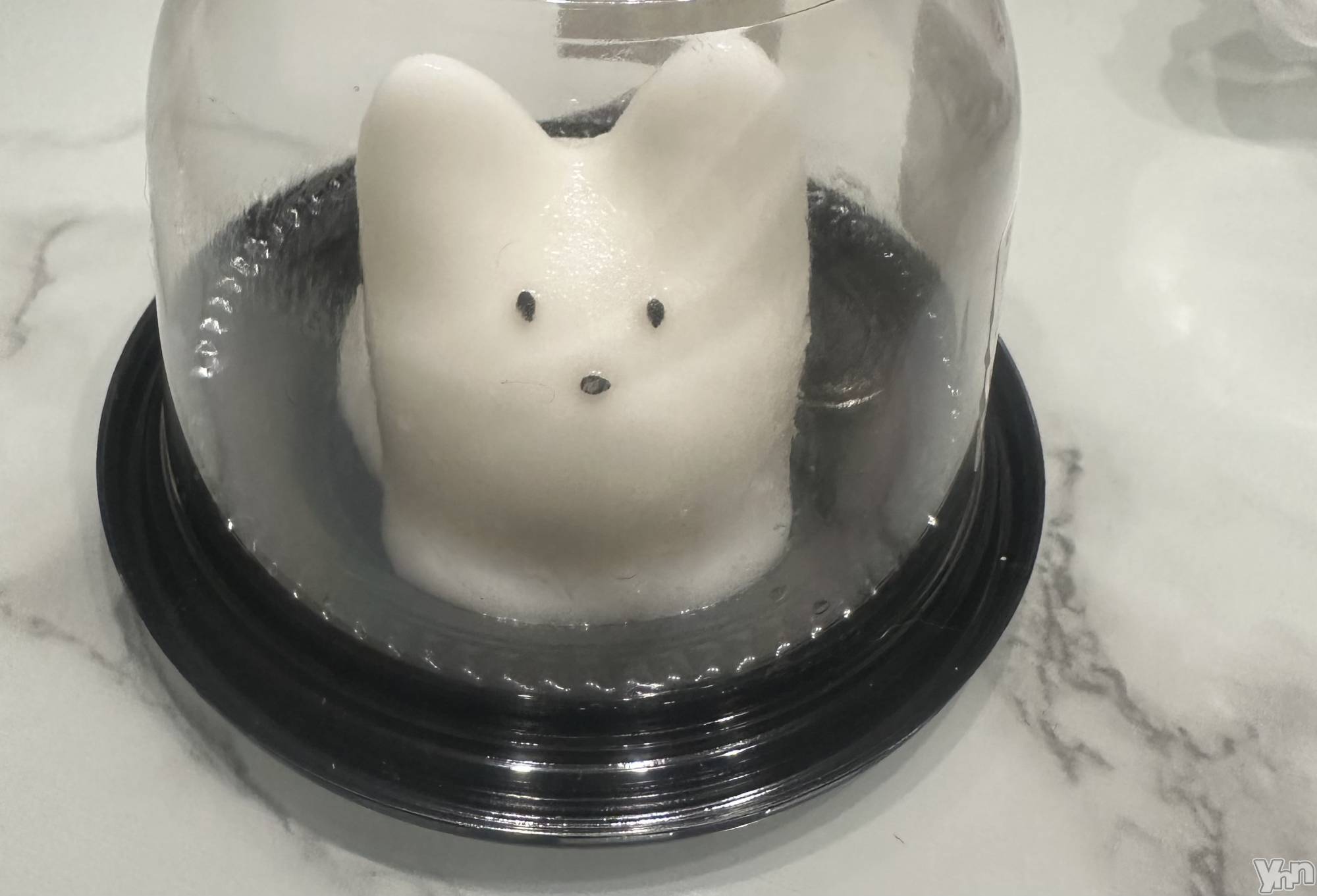 ���ܥ���Х��顦�����Entertainment Club HANA��BUSA(���󥿡��ƥ����ȥ���֡��ϥʥ֥�) ��2025ǯ3��24���̥�֥�����^ ̳.  ̫ . ̳^��♡��