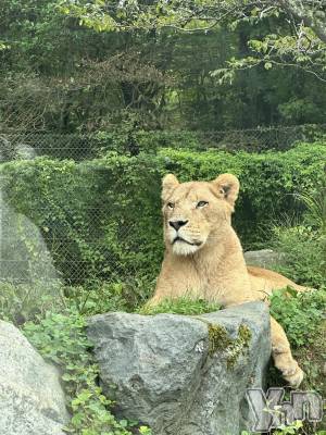 ���ܥ���Х��顦�����Entertainment Club HANA��BUSA(���󥿡��ƥ����ȥ���֡��ϥʥ֥�) ���(22)��9��29���̥�֥�����🦁🌳��