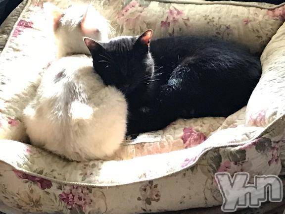 甲府デリヘル甲府人妻城(コウフヒトヅマジョウ) かおる(45)の4月10日写メブログ「🍀最寄のコンビニまで…🍀」