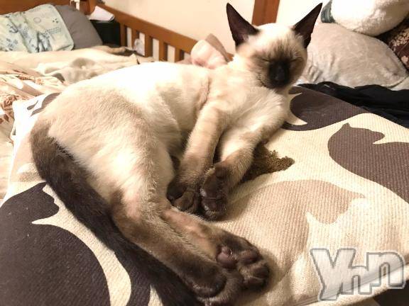 甲府デリヘル甲府人妻城(コウフヒトヅマジョウ)かおる(45)の2025年5月19日写メブログ「🍀おやすみ前に…🍀」