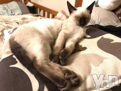 甲府デリヘル甲府人妻城(コウフヒトヅマジョウ) かおる(45)の5月19日写メブログ「🍀おやすみ前に…🍀」