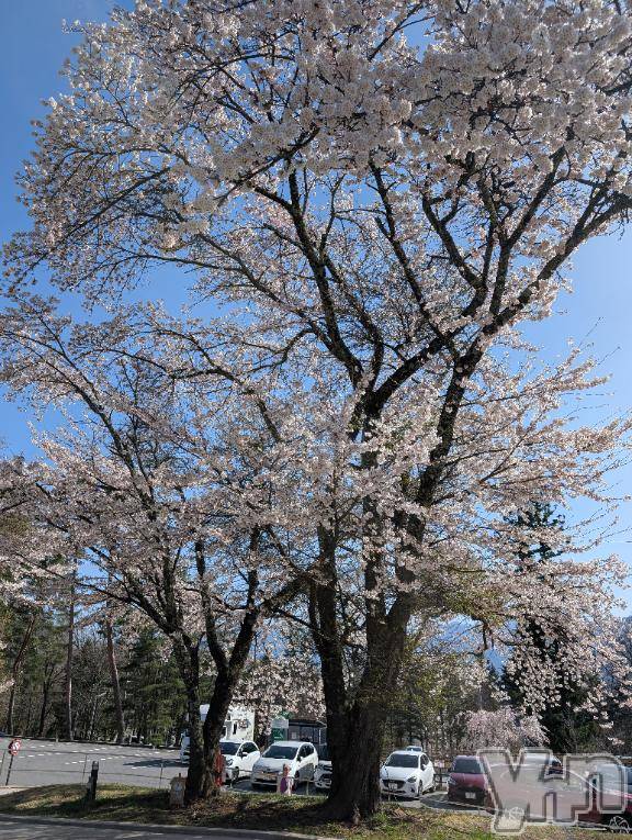 甲府デリヘル甲府人妻城(コウフヒトヅマジョウ) ゆいか(41)の4月11日写メブログ「こんばんは😊」