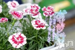 甲府デリヘル甲府人妻城(コウフヒトヅマジョウ) ゆいか(41)の3月25日写メブログ「甲府市内ホテル✨センテイア内藤604のお兄様😘」