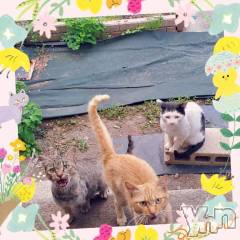 甲府デリヘル甲府人妻城(コウフヒトヅマジョウ) ゆいか(41)の6月16日写メブログ「明て日、15時～出勤します🥰」