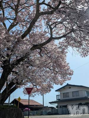 甲府デリヘル 甲府人妻城(コウフヒトヅマジョウ) ゆいか(41)の4月22日写メブログ「こんばんは🌛」