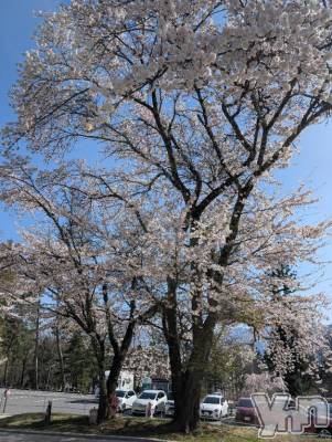 甲府デリヘル 甲府人妻城(コウフヒトヅマジョウ) ゆいか(41)の4月11日写メブログ「こんばんは😊」