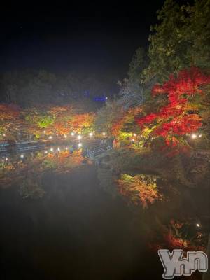 甲府デリヘル 甲府人妻城(コウフヒトヅマジョウ) ひびき(21)の12月10日写メブログ「申し訳ない(;_;)」