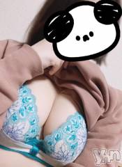 甲府デリヘル甲府人妻城(コウフヒトヅマジョウ) あすな(29)の4月17日写メブログ「受付してます💝」