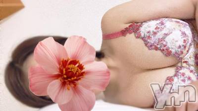 甲府デリヘル 甲府人妻城(コウフヒトヅマジョウ) あすな(29)の11月11日写メブログ「本指名💗東海のお兄さん🥰」