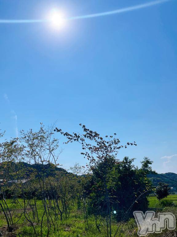 甲府デリヘル甲府人妻城(コウフヒトヅマジョウ) りあ(30)の6月12日写メブログ「明日出るよー🧸𖤐⡱」