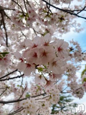 甲府デリヘル 甲府人妻城(コウフヒトヅマジョウ) りあ(30)の4月7日写メブログ「残り1枠です🧸𖤐⡱」