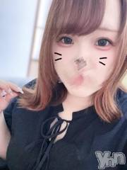 甲府デリヘル甲府人妻城(コウフヒトヅマジョウ) うた(28)の8月5日写メブログ「しゅっきんしたよ🦖🐾」