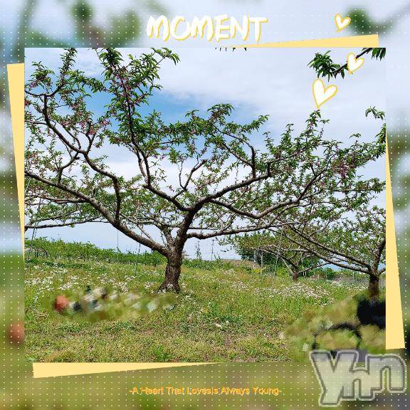 甲府デリヘル甲府人妻城(コウフヒトヅマジョウ)とあ(32)の2025年4月28日写メブログ「こんにちは✨」