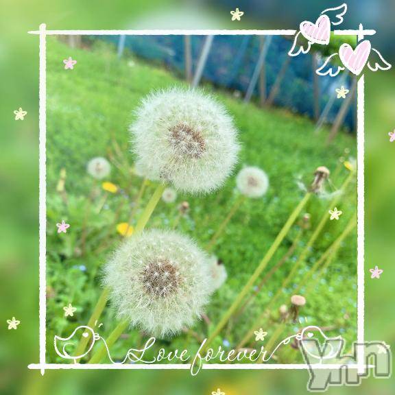 甲府デリヘル甲府人妻城(コウフヒトヅマジョウ)とあ(32)の2025年6月2日写メブログ「おはよう♡」