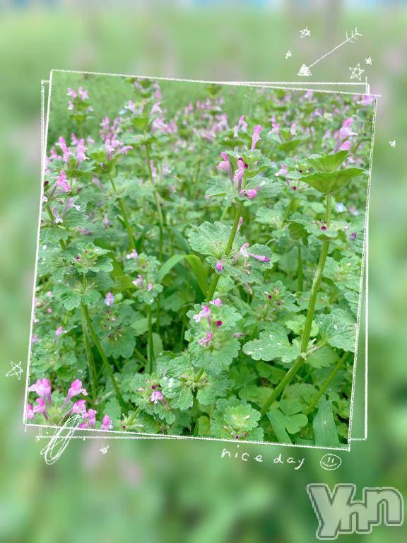 甲府デリヘル甲府人妻城(コウフヒトヅマジョウ)とあ(32)の2025年6月4日写メブログ「謎が解けず…💦」