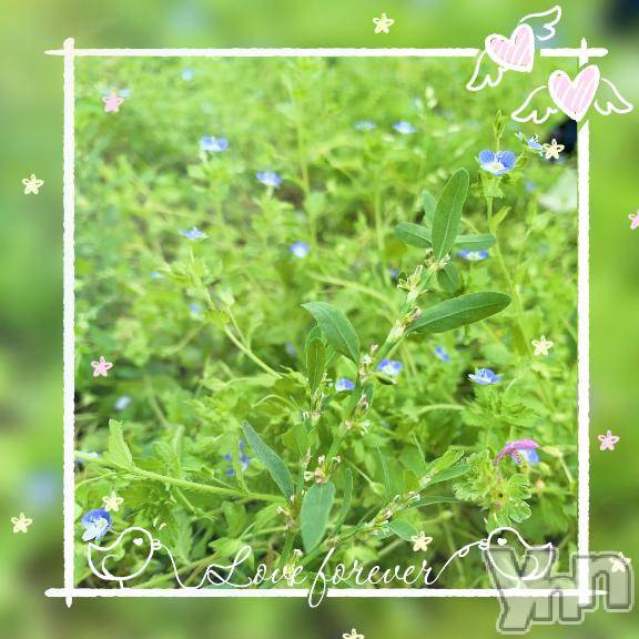 甲府デリヘル甲府人妻城(コウフヒトヅマジョウ)とあ(32)の2025年6月6日写メブログ「こんにちは☀️」