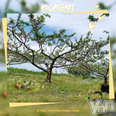 甲府デリヘル 甲府人妻城(コウフヒトヅマジョウ) とあ(32)の4月28日写メブログ「こんにちは✨」