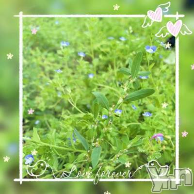 甲府デリヘル 甲府人妻城(コウフヒトヅマジョウ) とあ(32)の6月6日写メブログ「こんにちは☀️」