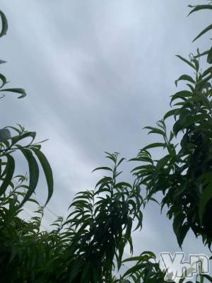 甲府デリヘル 甲府人妻城(コウフヒトヅマジョウ) とあ(32)の6月7日写メブログ「あめ…🥺」