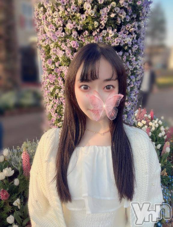 甲府ソープオレンジハウス あい(24)の4月12日写メブログ「出勤予定です🐈🍀」