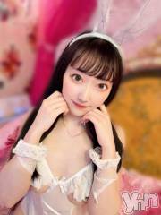 甲府ソープオレンジハウス あい(24)の4月17日写メブログ「《あい》です🐈🍀」