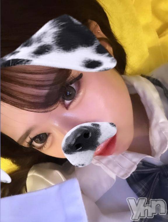 甲府ソープオレンジハウス えれん(19)の3月28日写メブログ「次回出勤予定🤙🏻⭐🎵」