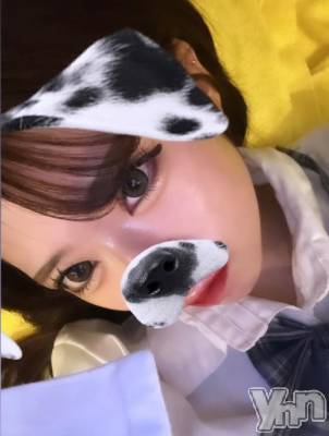 甲府ソープ オレンジハウス えれん(19)の3月28日写メブログ「次回出勤予定🤙🏻⭐🎵」