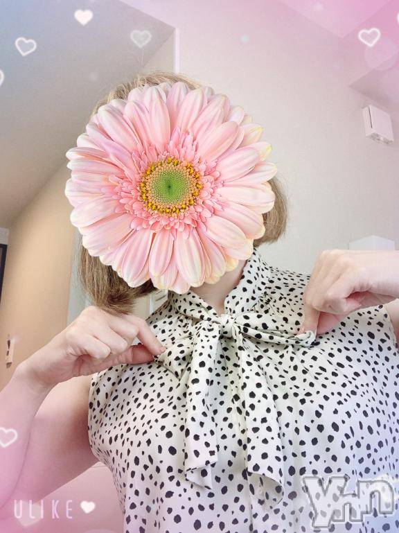 甲府デリヘル甲府人妻隊(コウフヒトヅマタイ) 新人とわこ(44)の6月16日写メブログ「明日から♡」