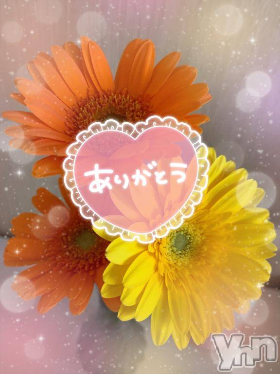 甲府デリヘル甲府人妻隊(コウフヒトヅマタイ)新人とわこ(44)の2025年2月15日写メブログ「直感力♡」