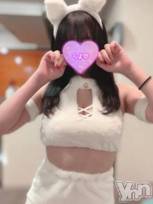 甲府ソープ オレンジハウス もえ(29)の2月10日写メブログ「🩷3日目です🩷」