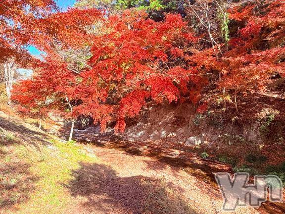 甲府デリヘル甲府人妻城(コウフヒトヅマジョウ) なぎさ(36)の12月9日写メブログ「寒いよー⛄️」