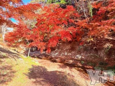 甲府デリヘル 甲府人妻城(コウフヒトヅマジョウ) なぎさ(36)の12月9日写メブログ「寒いよー⛄️」